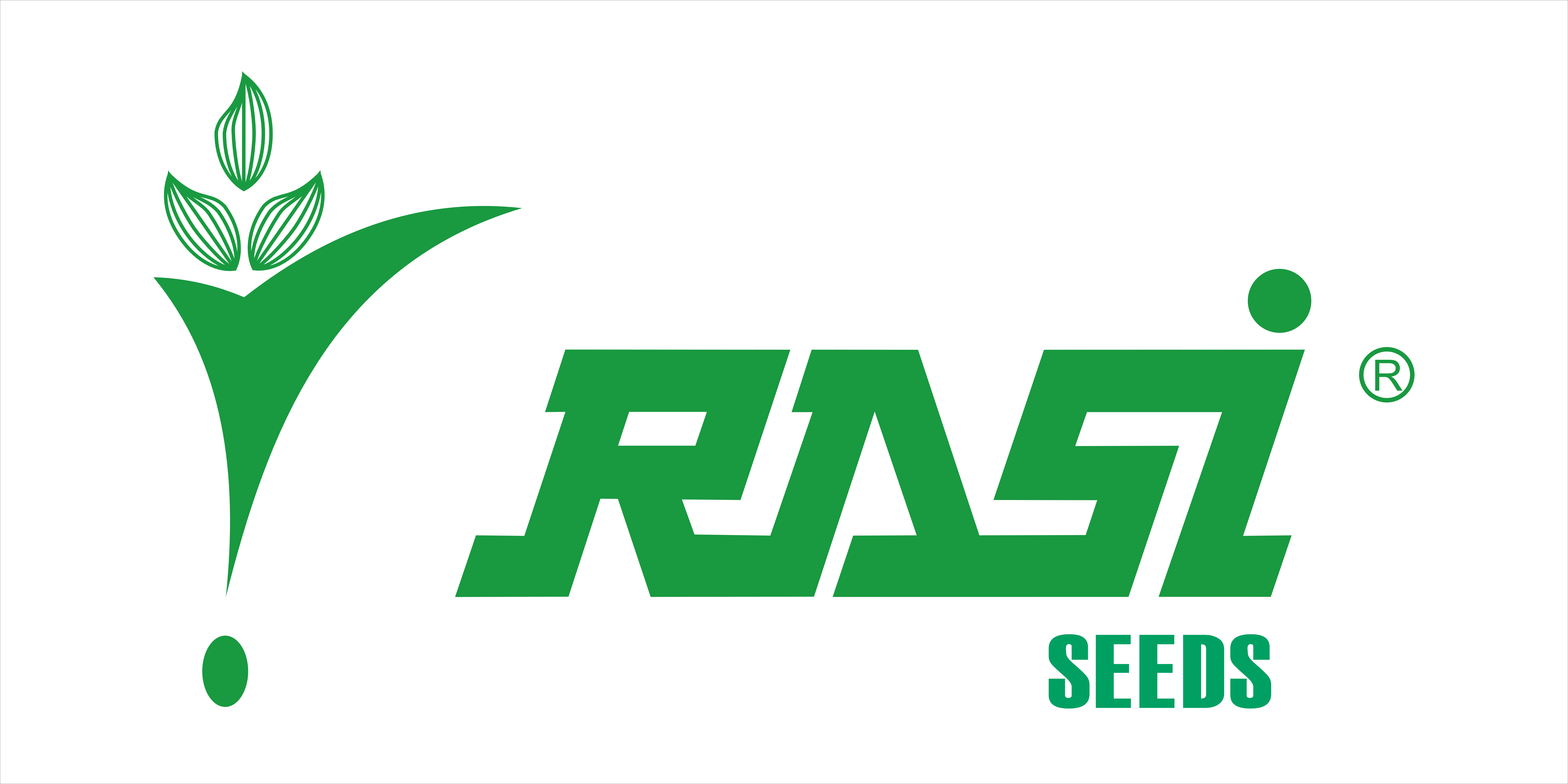 RASI SEEDA